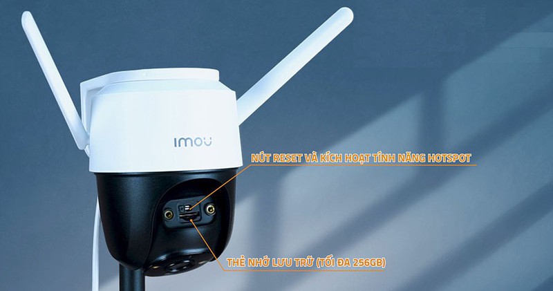 syrgobov0jtvgzpkcdmn_simg_d0daf0_800x1200_max
