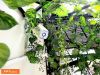 fpt-camera-outdoor-ngoai-troi-full-hd-1080p-kem-goi-cloud-1-ngay-chuyen-dong - ảnh nhỏ 4